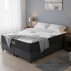 Colchão Queen Star Plus 25 cm D26 Molas Ensacadas + Base Simples Corino Preto – INOVAFLEX + BIOSTAR